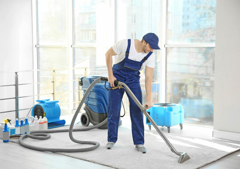 Mold removal new jersey